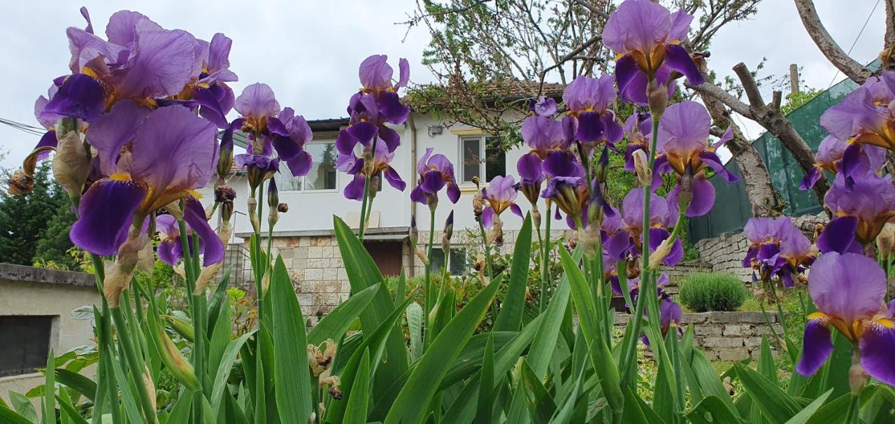 Стая За Гости "Ирина" Balchik Extérieur photo